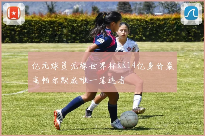 亿元球员无缘世界杯KK14亿身价最高帕尔默成唯一落选者